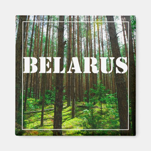 Natuur Landschap Forest Belarus Magnet (Voorkant)