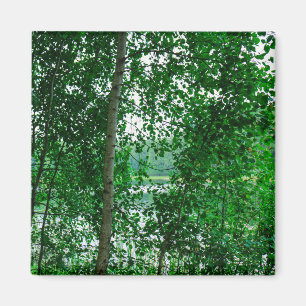 Natuur Landschap Forest Belarus Magnet