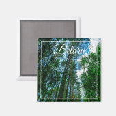 Natuur Landschap Forest Belarus Magnet (Voorkant / Achterkant)