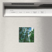 Natuur Landschap Forest Belarus Magnet (Insitu (Vaatwasser))