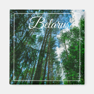 Natuur Landschap Forest Belarus Magnet