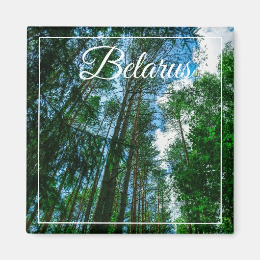 Natuur Landschap Forest Belarus Magnet (Voorkant)