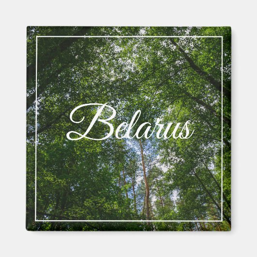 Natuur Landschap Forest Belarus Magnet (Voorkant)