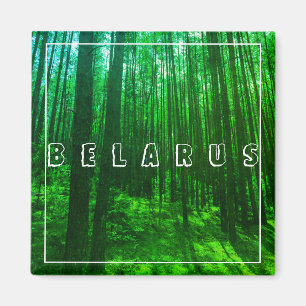 Natuur Landschap Forest Belarus Magnet