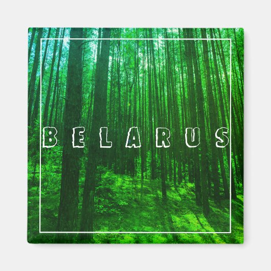 Natuur Landschap Forest Belarus Magnet (Voorkant)