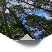 Natuur Landschap Kijk naar het Wit-Russische Poste Poster (Hoek)