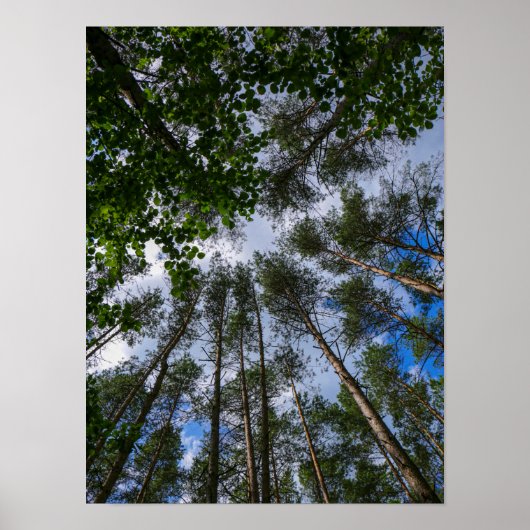 Natuur Landschap Kijk naar het Wit-Russische Poste Poster (Voorkant)