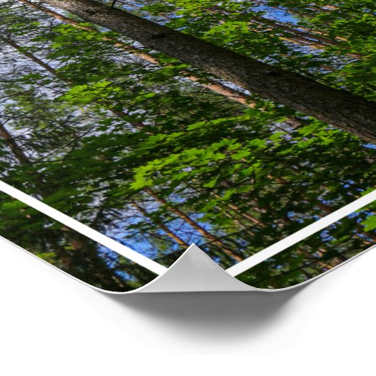 Natuur Landschap Kijk naar het Wit-Russische Poste Poster (Hoek)