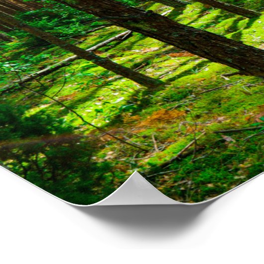 Natuur Landschap Kijk naar het Wit-Russische Poste Poster (Hoek)