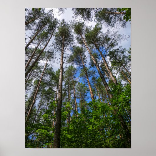 Natuur Landschap Kijk naar het Wit-Russische Poste Poster (Voorkant)