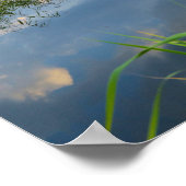 Natuur Landschap Lake Scenery Belarus Poster (Hoek)