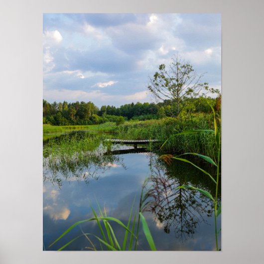 Natuur Landschap Lake Scenery Belarus Poster (Voorkant)