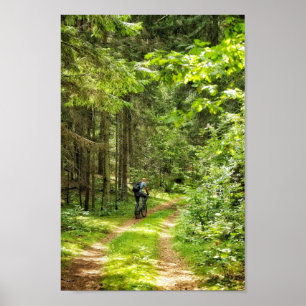 Natuur Landschap Landschappen Bos Bomen Wit-Ruslan Poster