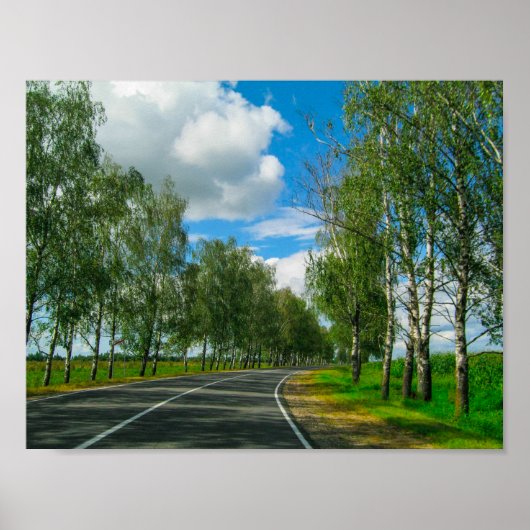 Natuur landschap landschapsweg Wit-Rusland Poster (Voorkant)