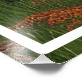 Natuur Landschap met meer en meer Foto Afdruk (Hoek)