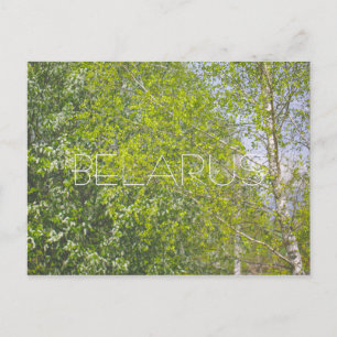 Natuur Landschap Plattelandslandschap Bomen Briefkaart