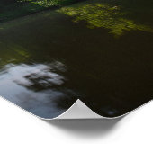 Natuur Landschap Rivier Wit-Rusland Bomen Poster (Hoek)