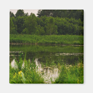 Natuur Landschap Scenery Forest Pond Magneet