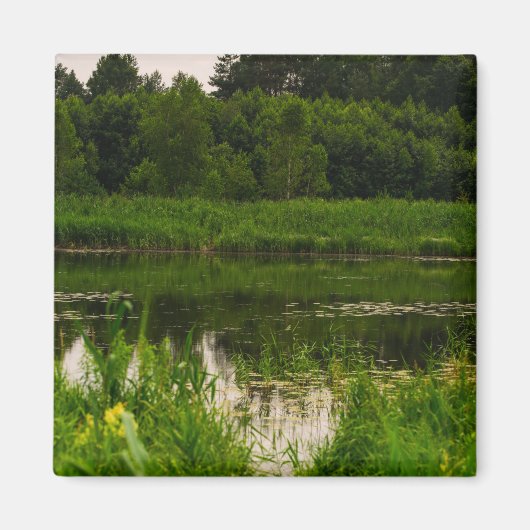 Natuur Landschap Scenery Forest Pond Magneet (Voorkant)