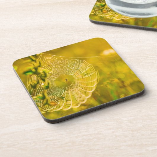 Natuur Landschap Spider Spiderweb Sunlight Bier Onderzetter (Linkerzijde)