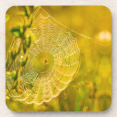 Natuur Landschap Spider Spiderweb Sunlight Bier Onderzetter (Voorkant)
