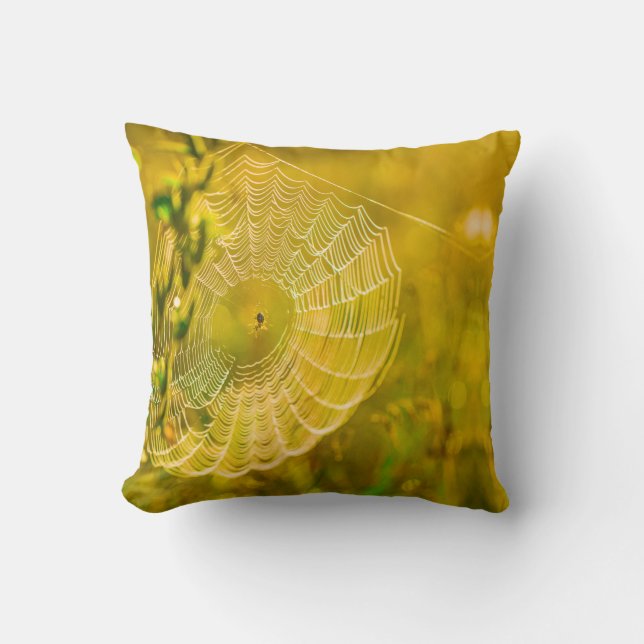 Natuur Landschap Spider Spiderweb Sunlight Kussen (Voorkant)