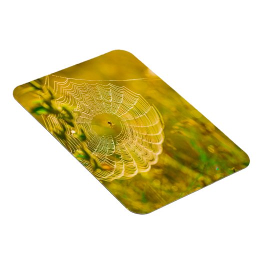 Natuur Landschap Spider Spiderweb Sunlight Magneet (Rechterzijde)