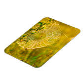 Natuur Landschap Spider Spiderweb Sunlight Magneet (Linkerzijde)