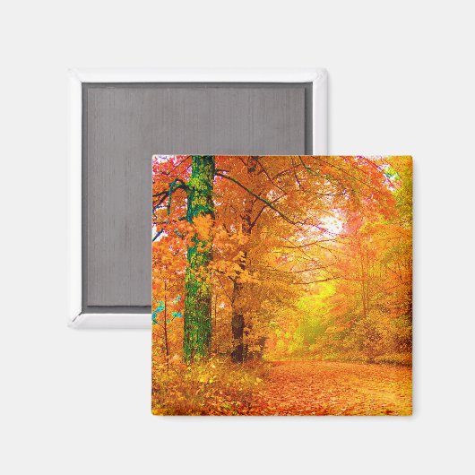 Natuur Landschap Vermont Autumn Magneet (Voorkant / Achterkant)