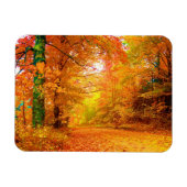 Natuur Landschap Vermont Autumn Magneet (Horizontaal)