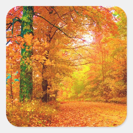 Natuur Landschap Vermont Autumn Vierkante Sticker (Voorkant)