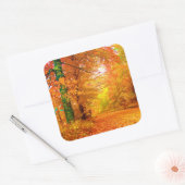 Natuur Landschap Vermont Autumn Vierkante Sticker (Envelop)