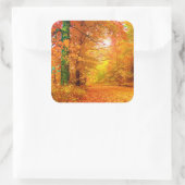 Natuur Landschap Vermont Autumn Vierkante Sticker (Tas)