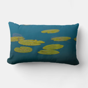 Natuur Landschap Water Lily verlaat Pond Kussen