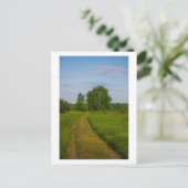 Natuur Landschap Wit-Rusland Briefkaart (Staand voorkant)