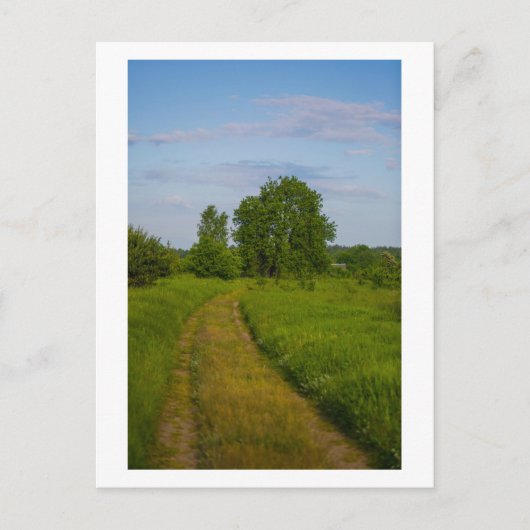 Natuur Landschap Wit-Rusland Briefkaart (Voorkant)