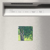 Natuur landschapsarchitectuur magneet (Insitu (Vaatwasser))
