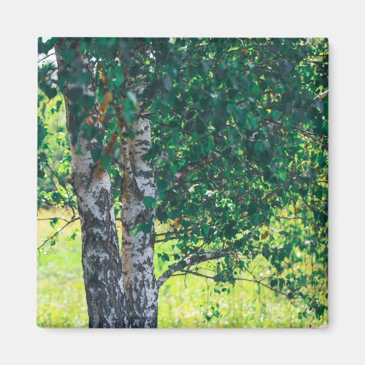 Natuur landschapsarchitectuur magneet (Voorkant)