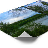 Natuur landschapsbos Wit-Russisch Poster (Hoek)