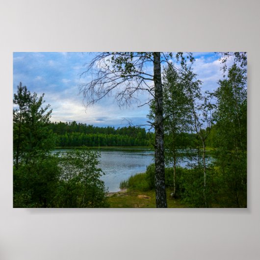 Natuur landschapsbos Wit-Russisch Poster (Voorkant)
