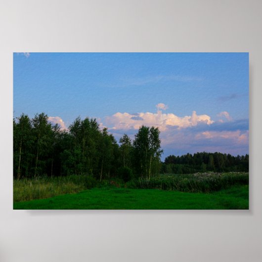 Natuur landschapsbos Wit-Russisch Poster (Voorkant)
