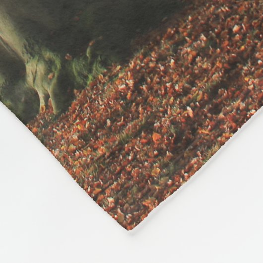 Natuur landschapsfotografie herfstbomen fleece deken (Hoek)