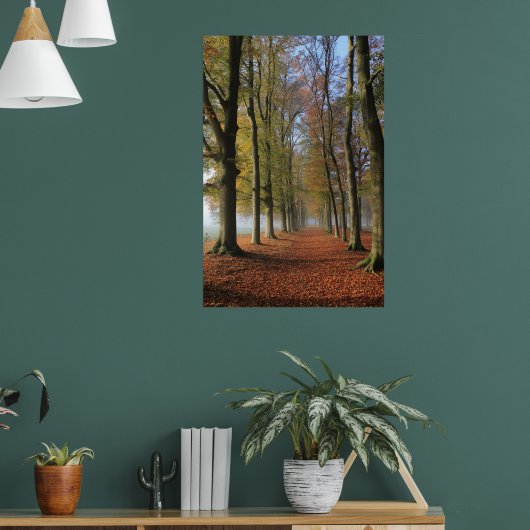 Natuur landschapsfotografie herfstbomen poster (Woonkamer 1)
