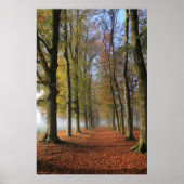 Natuur landschapsfotografie herfstbomen poster (Voorkant)