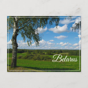 Natuur Landschapslandschap Birch Belarus Briefkaar Briefkaart