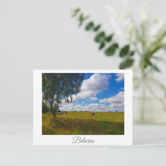 Natuur landschapslandschap Birch Tree Belarus Briefkaart (Staand voorkant)