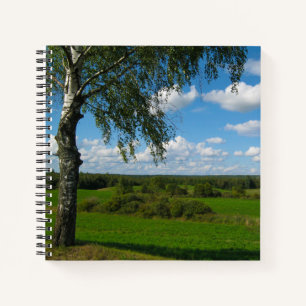 Natuur landschapslandschap Birch Trees Belarus Notitieboek