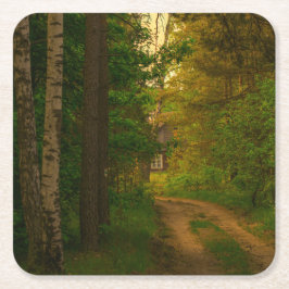 Natuur Landschapslandschap Bos Hut Village Kartonnen Onderzetters