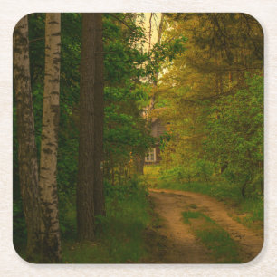 Natuur Landschapslandschap Bos Hut Village Kartonnen Onderzetters