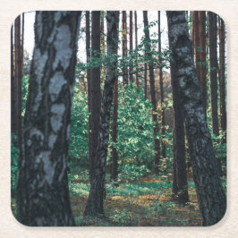 Natuur Landschapslandschap Bosboombossen Kartonnen Onderzetters